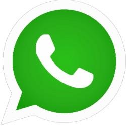 WhatsApp logo